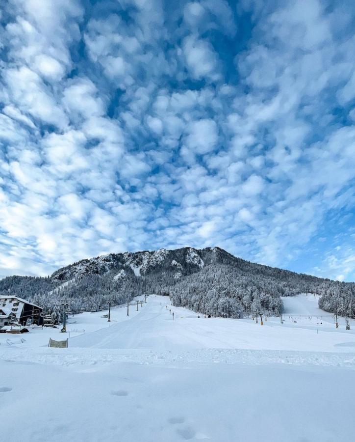 Koca Martuljek Villa Gozd Martuljek Bagian luar foto